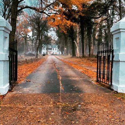 The Confectionary At Elmview