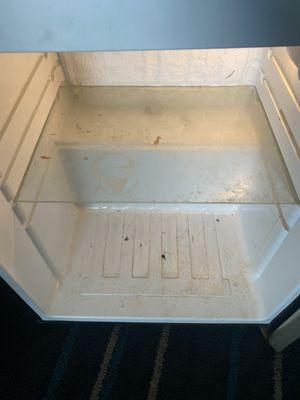 Filth. The housekeeper said she hasn't seen it cleaned in the three months she's worked there.