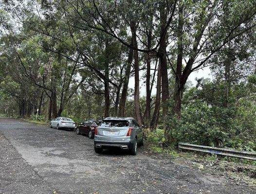 Makaula 'O'oma Trail