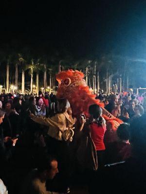 Chinese New Year Celebration
