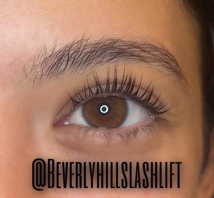 Beverly Hills Lash Lift