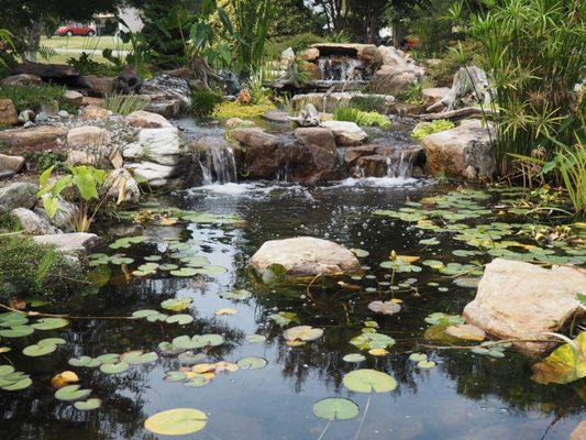 American Aquascapes Ponds & Patios
