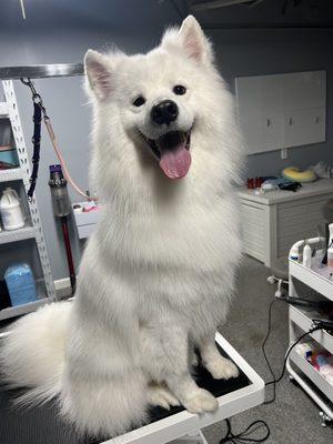 Sanssouci Pet Grooming