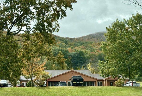 Mount Anthony Veterinary Hospital