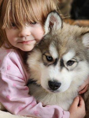 Lucy’s Luxury Pet Spa