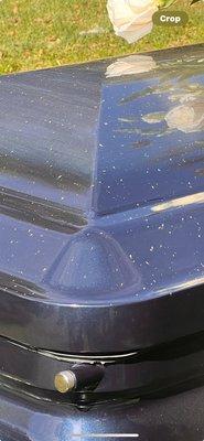 Arlington Park Cemetery