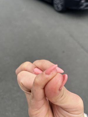 Nail's 1