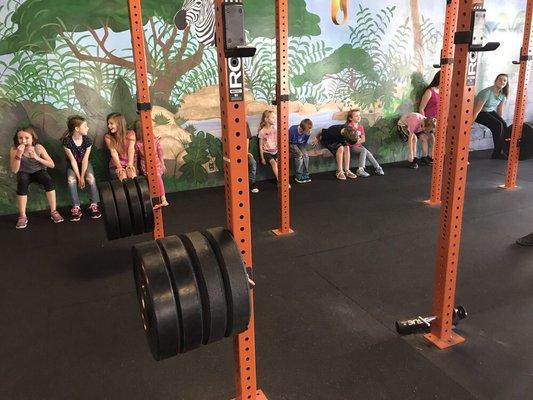 Iron Jungle HiiT Training  Gym