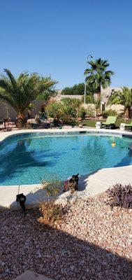 Star nursery trees, plants and shrubs