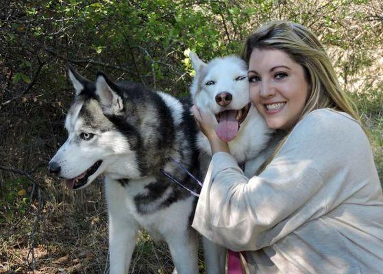 Better Pups Dog Training