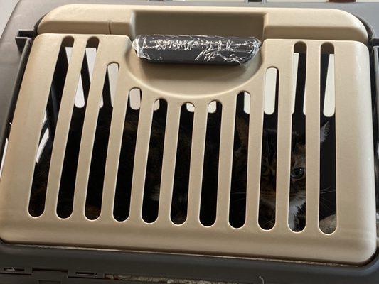 South Monroe Animal Hospital