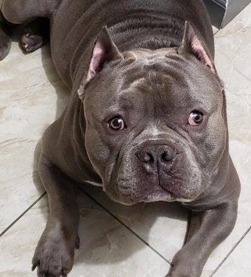 Waterbury Veterinary Hospital