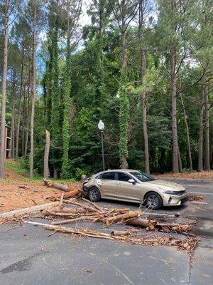 Dead trees they chose to do nothing about for years and let fall on cars won't surprise me if this keeps happening there