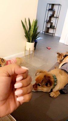 Linda's TLC Nail & Spa