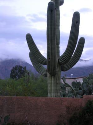 Allied Insurance Group