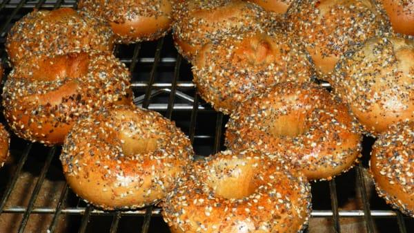 Glenn's everything bagels
