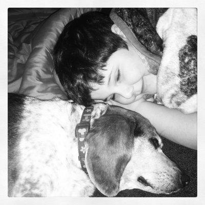 Miss Blue's Pet Boutique & Grooming