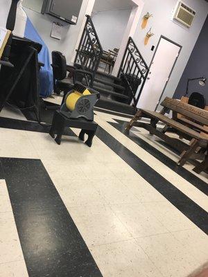 Adelita's Hairstyles