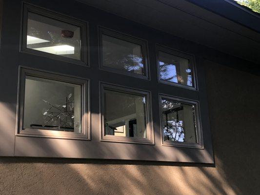 Superior Window Washing