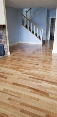 Refinishing prefinished birch Smith Cove Gilford NH