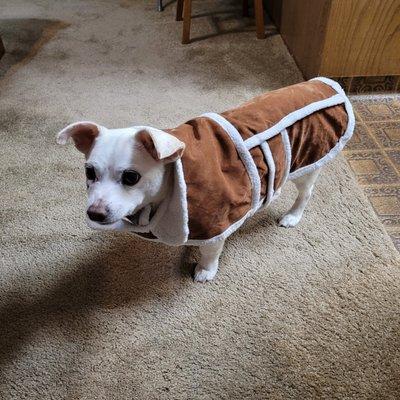 Valley Animal Hospital of Merced