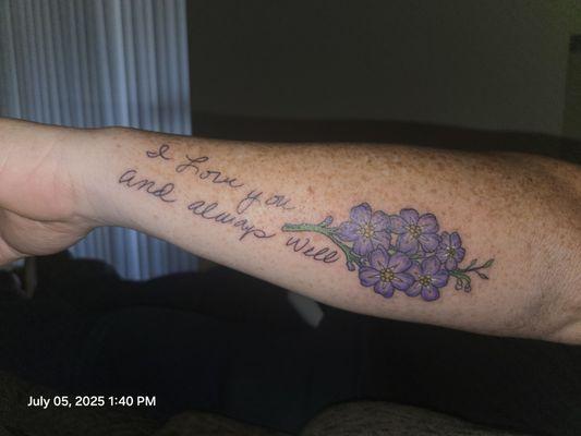 Enchanted Dragon Inc