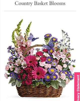 Petals & Blooms Flowers