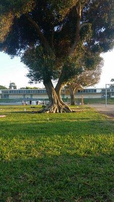 Seaside Elementary School