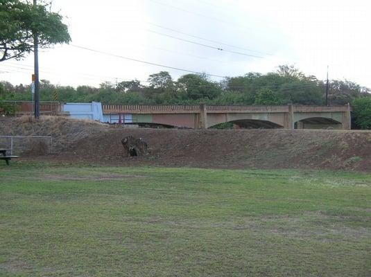 Loud traffic & earsplitting roosters make for an early morning!