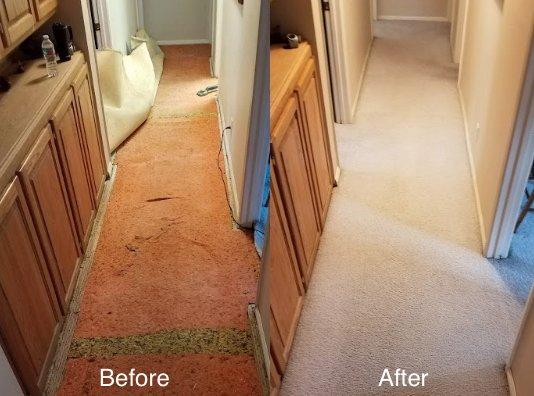 Dominick's Carpet Cleaning & Repairing