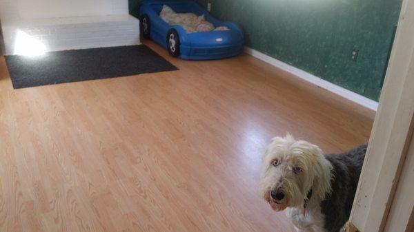 Just Like Home Kennels