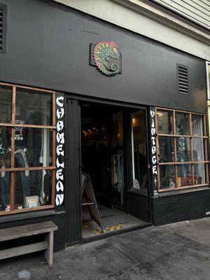 Chameleon Vintage Haight