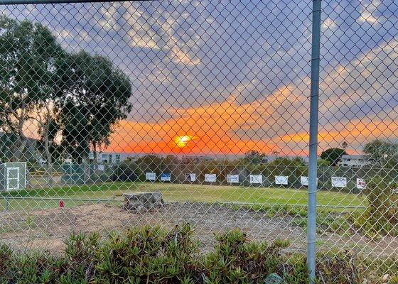 What a view from field!