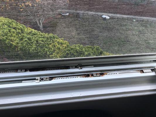 Not a very good product, and not good costumer relations !!!!