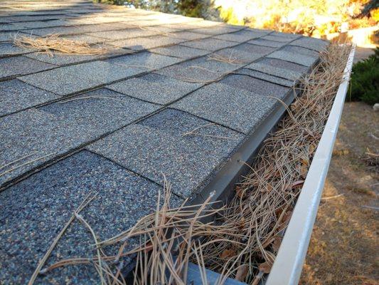 Lone Peak Gutter Cleaning