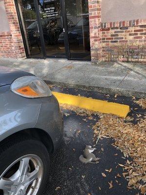 First Harbour Medical Centers - Bradenton East