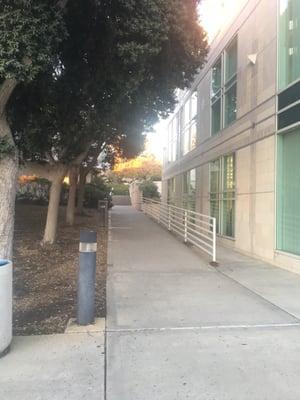 School of Global Policy and Strategy Library