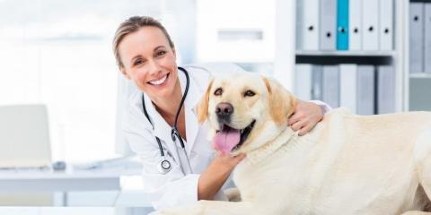 A-4 Animal Hospital