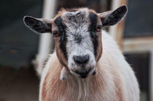 Geneva Lakes Produce Greenhouse & Csa