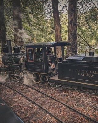 Golden Gate Live Steamers