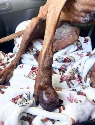 Matanzas Shores Homeowners Association