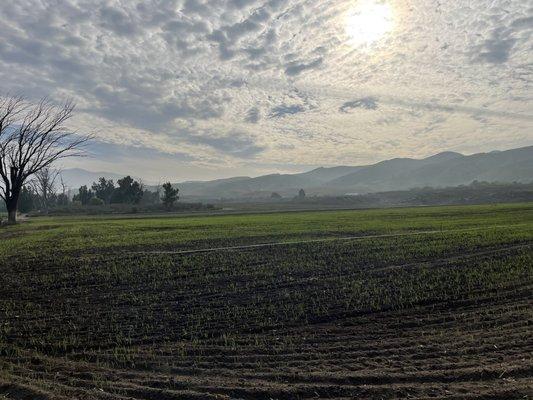 Prado Recreation Dog Park