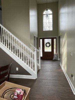 Mullins Fine Line Painting