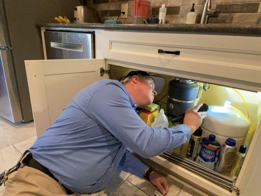 Thorough inspection along with accurate identification, enabling targeted control strategies based on pest biology and behaviors.