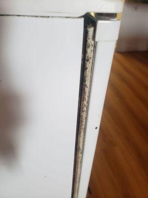 Mold on cubic refrigerator for 2nd room