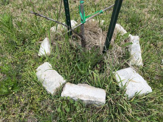 Sage Outdoor Services