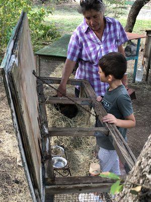 Little Buckaroo Ranch