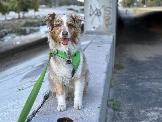 Glendale Narrows Riverwalk