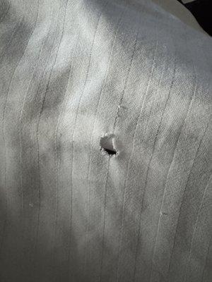 hole in sheets