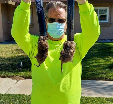 Conner Pest Management